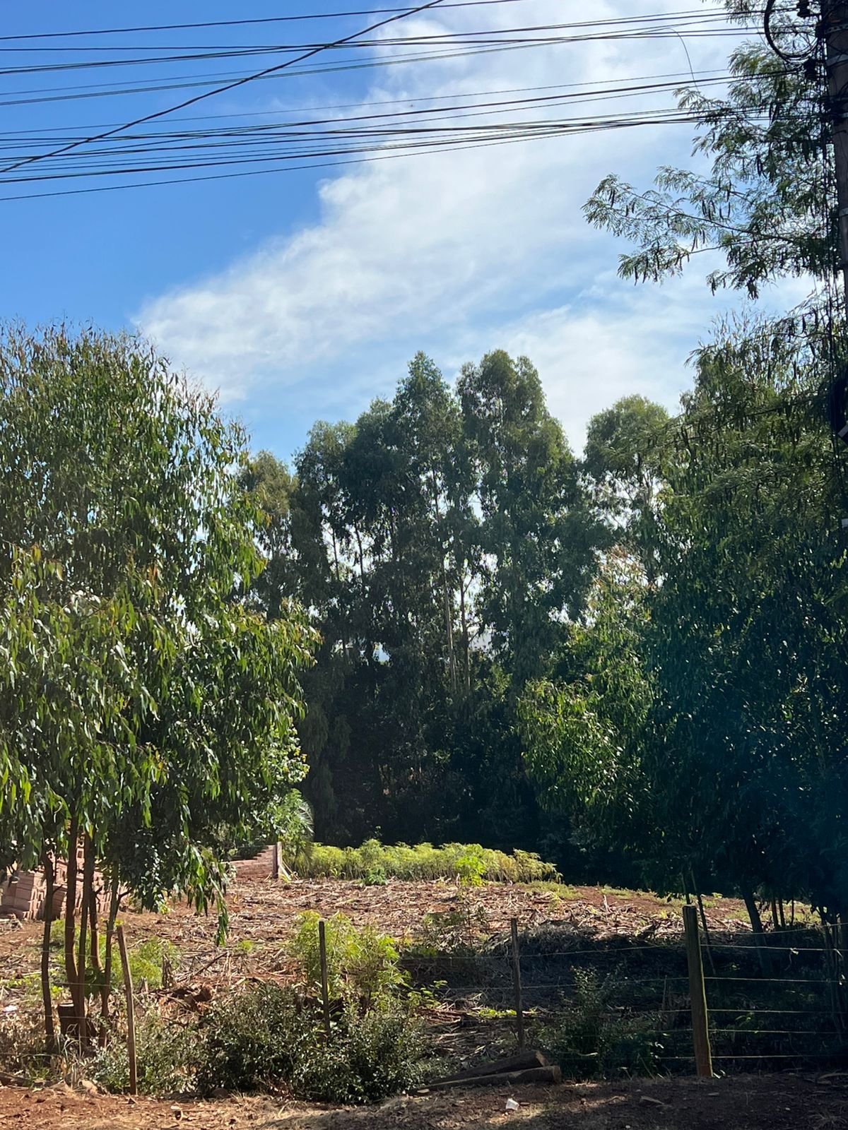 Terreno para venda no bairro São Paulo em Tapejara RS