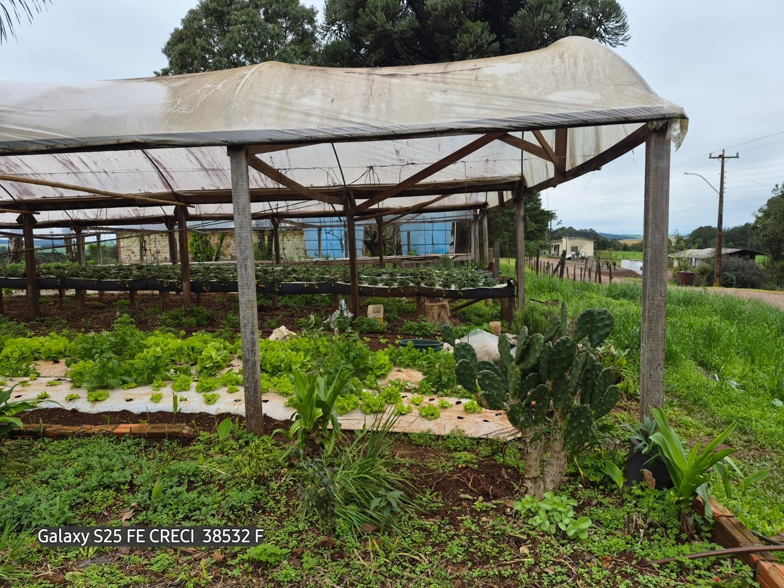 Casa, Agroindústria e Estufa à Venda em Vila Campos – Tapejara/RS